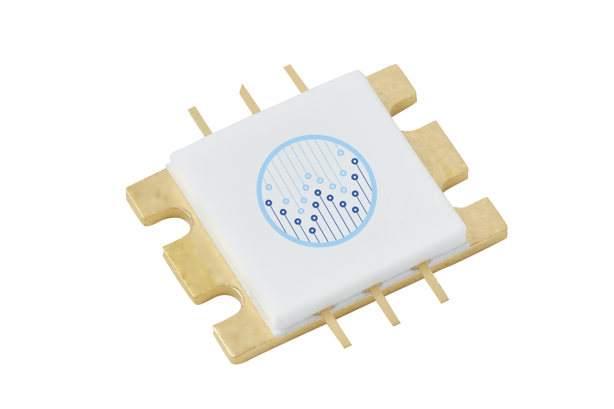 WP482P1078MH